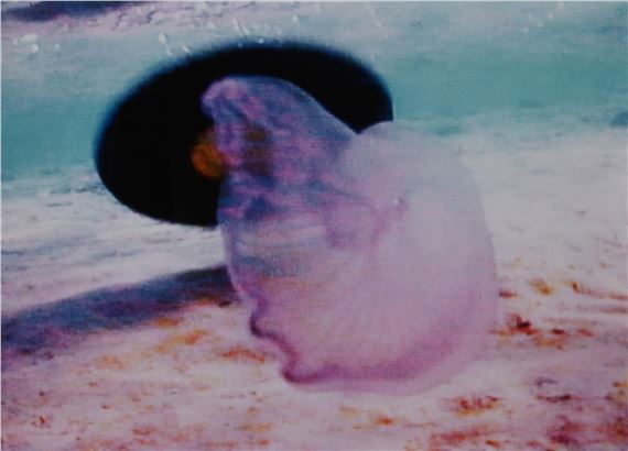 Videostill. Untitled by Pipilotti Rist, 1992/1993