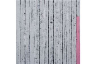 Latvian National Museum of Art Opens an Exhibition of Sigita Daugule's Paintings