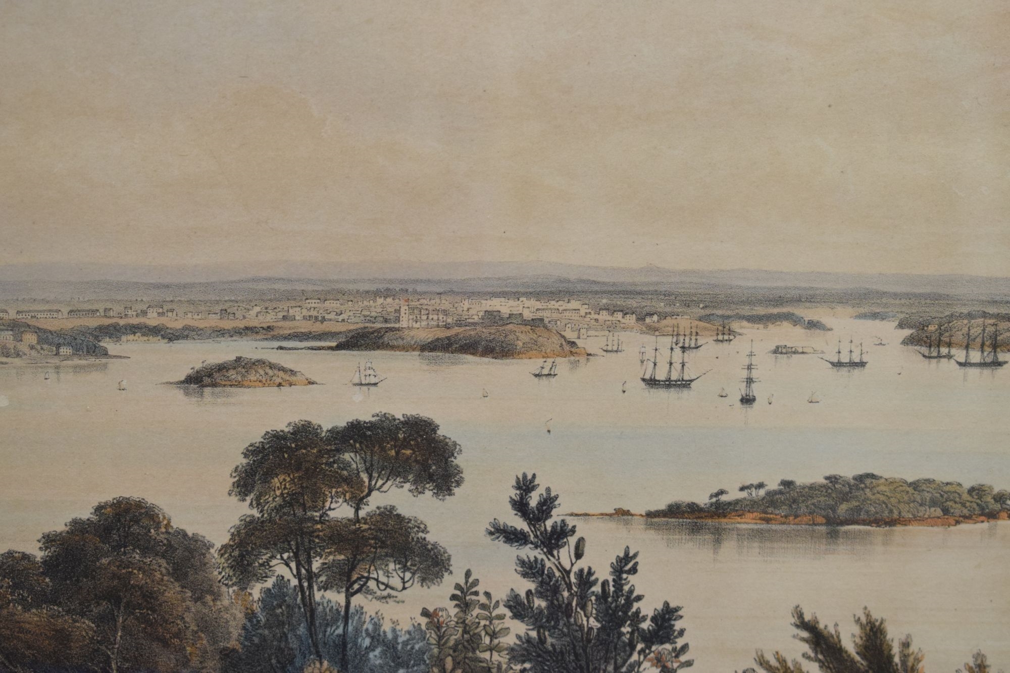 George French Angas | The City and harbour of Sydney from near Vacluse ...