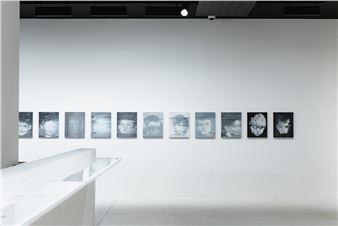 Alain Bornain: Amourable - BPS22