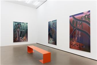 Igor Hosnedl: Dive - Galerie Eigen + Art, Berlin