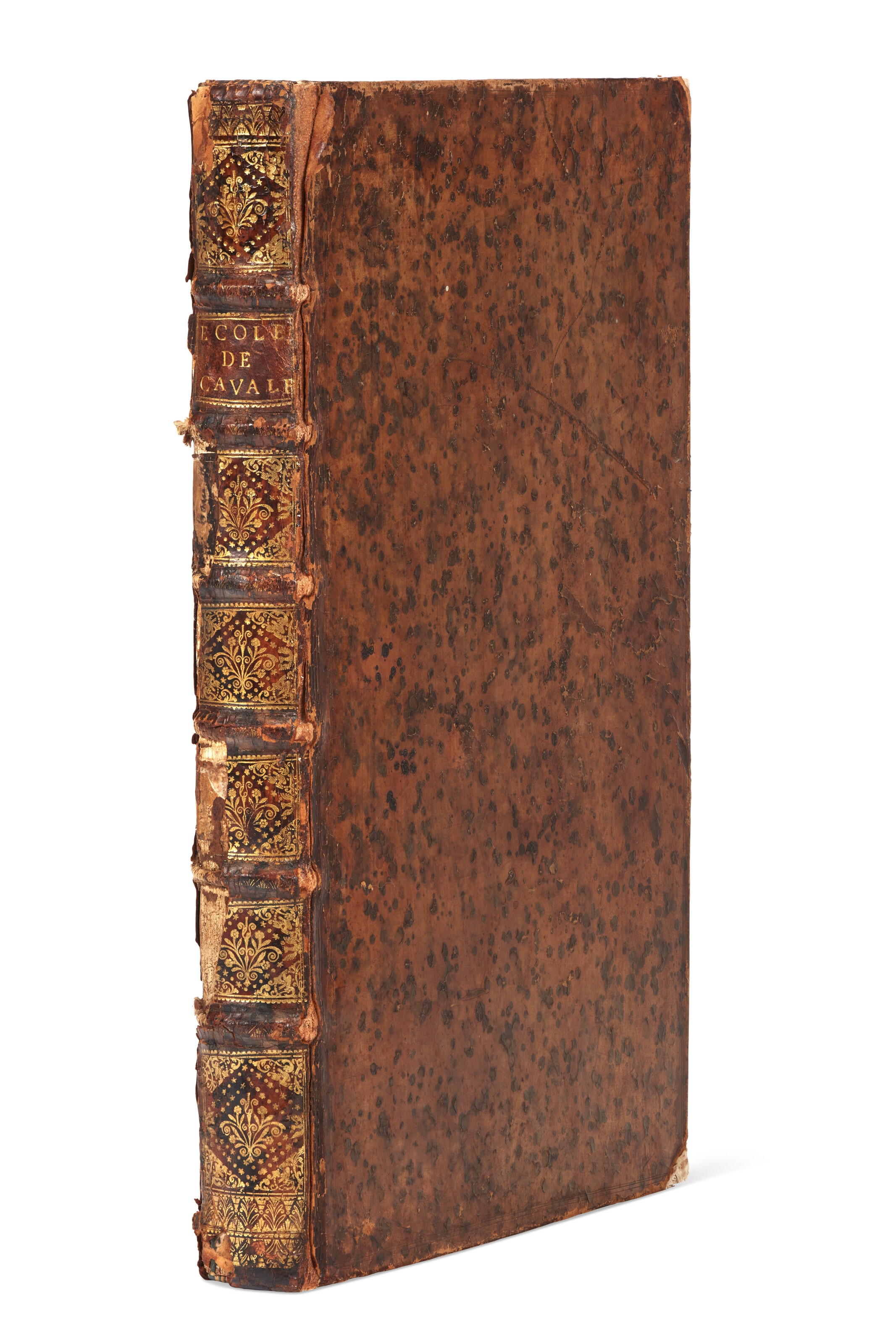 Artwork by François Robichon de la Guérinière, Ecole de cavalerie contenant la connoissance, l'instruction et la conservation du cheval, Made of engraved illustrations