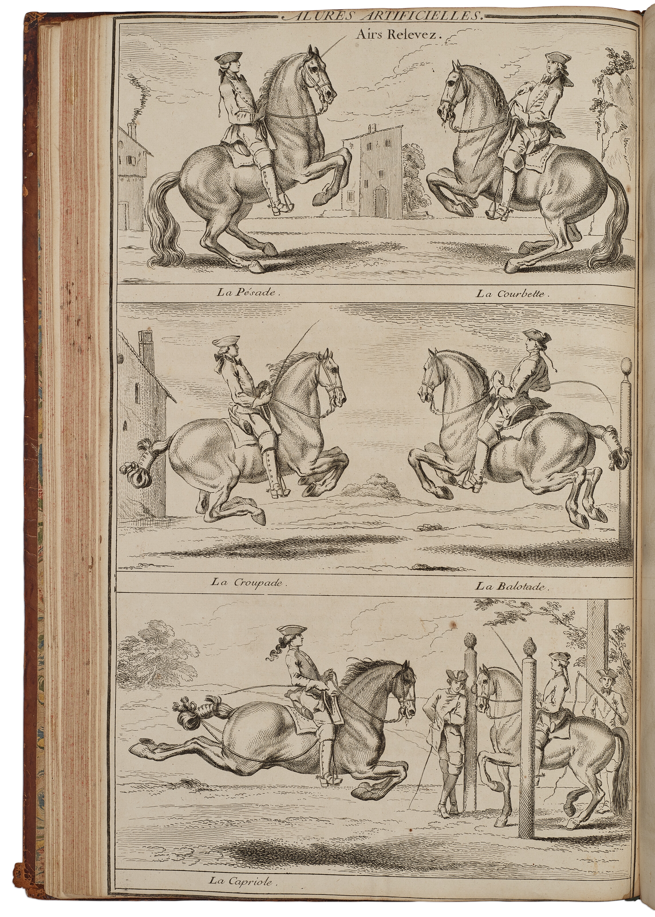 Artwork by François Robichon de la Guérinière, Ecole de cavalerie contenant la connoissance, l'instruction et la conservation du cheval, Made of engraved illustrations