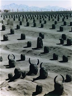 Parham Ghalamdar: Deep Desert Objekt - Pipeline