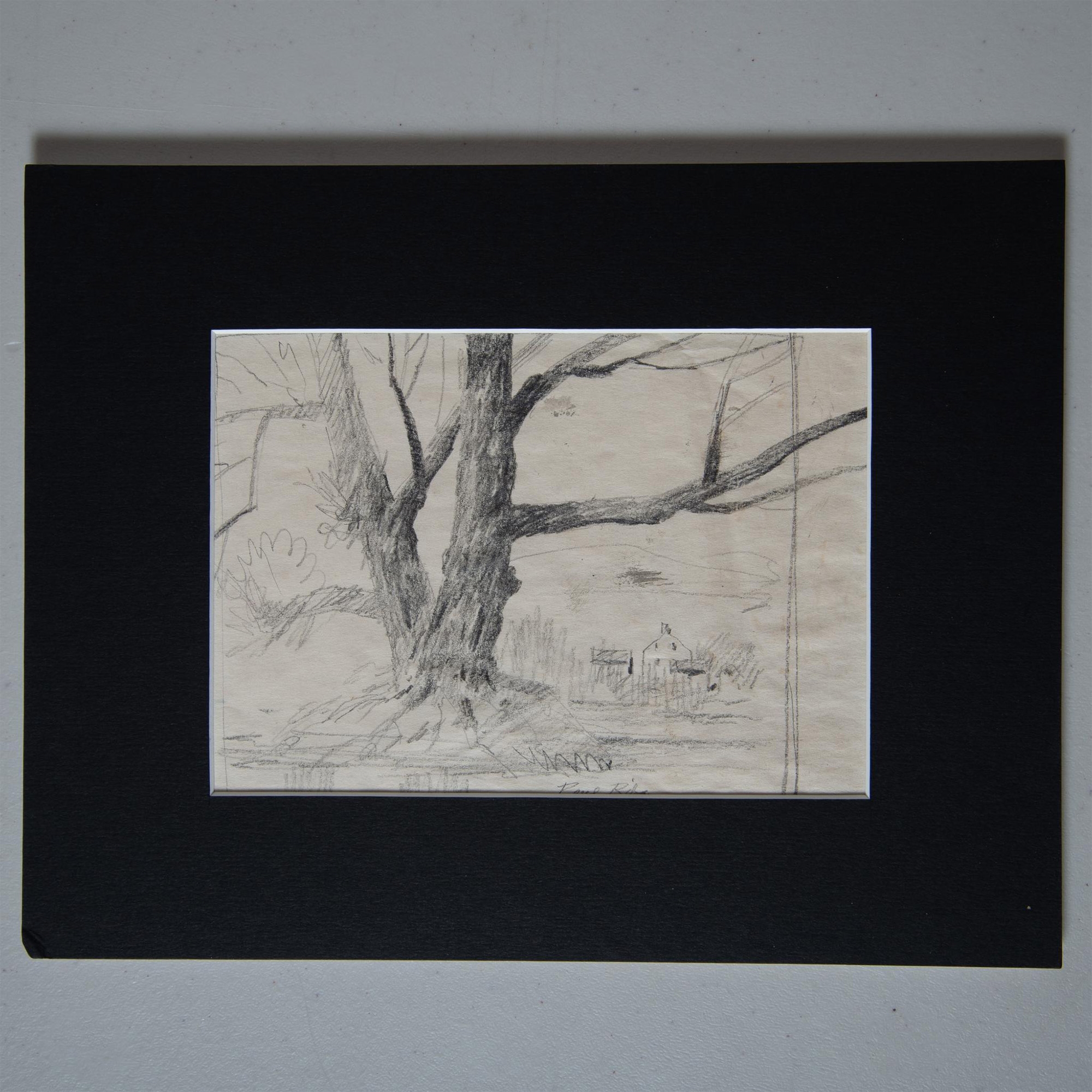 Paul Riba | Paul Riba, Original Graphite Drawing on Paper, Tree, Signed ...