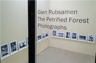 Glen Rubsamen: The Petrified Forest - Annemarie Verna Gallery
