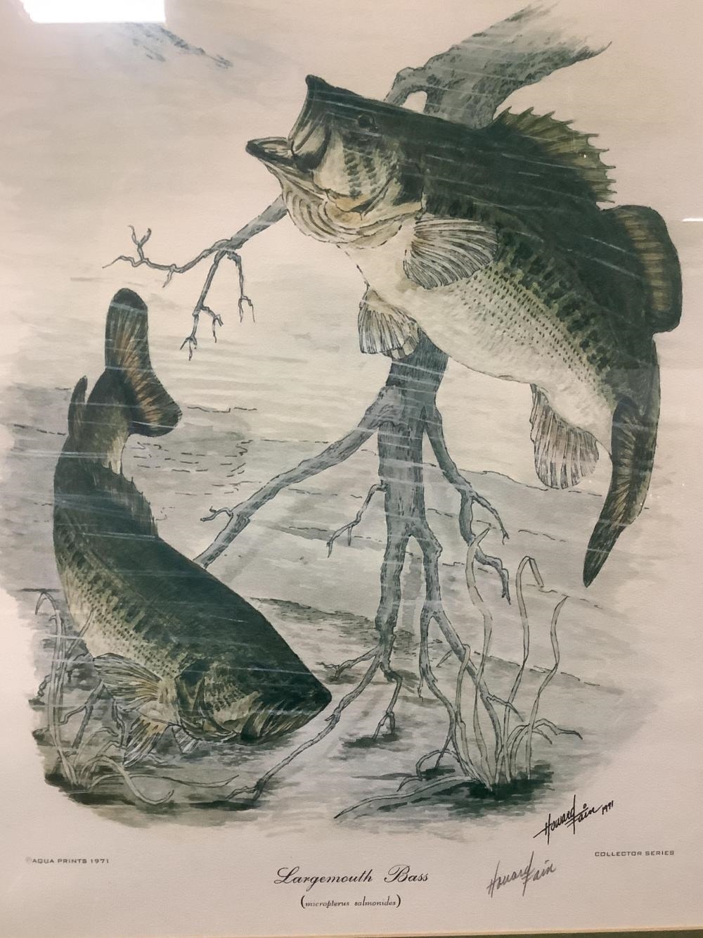 Howard Fain | Set of Three Signed Fish Prints by Howard Fain (1000 ...