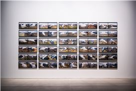 Olafur Eliasson’s “Your Curious Journey”