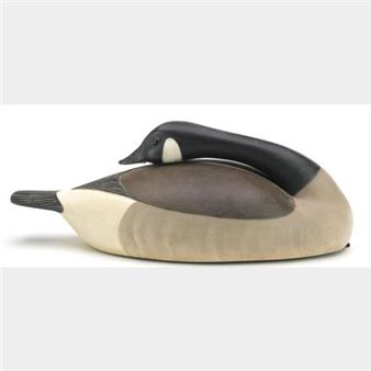 Canada goose - Ryan Dockiewicz