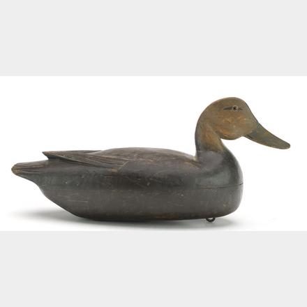 Caleb Ridgway Marter | Black duck | MutualArt
