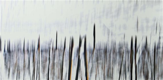 1962 in Padua, lebt und arbeitet in Berlin. - Sabine Wild