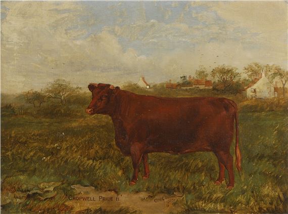 Cropwell Pride II by Charles Edwin M. Baldock, 1903