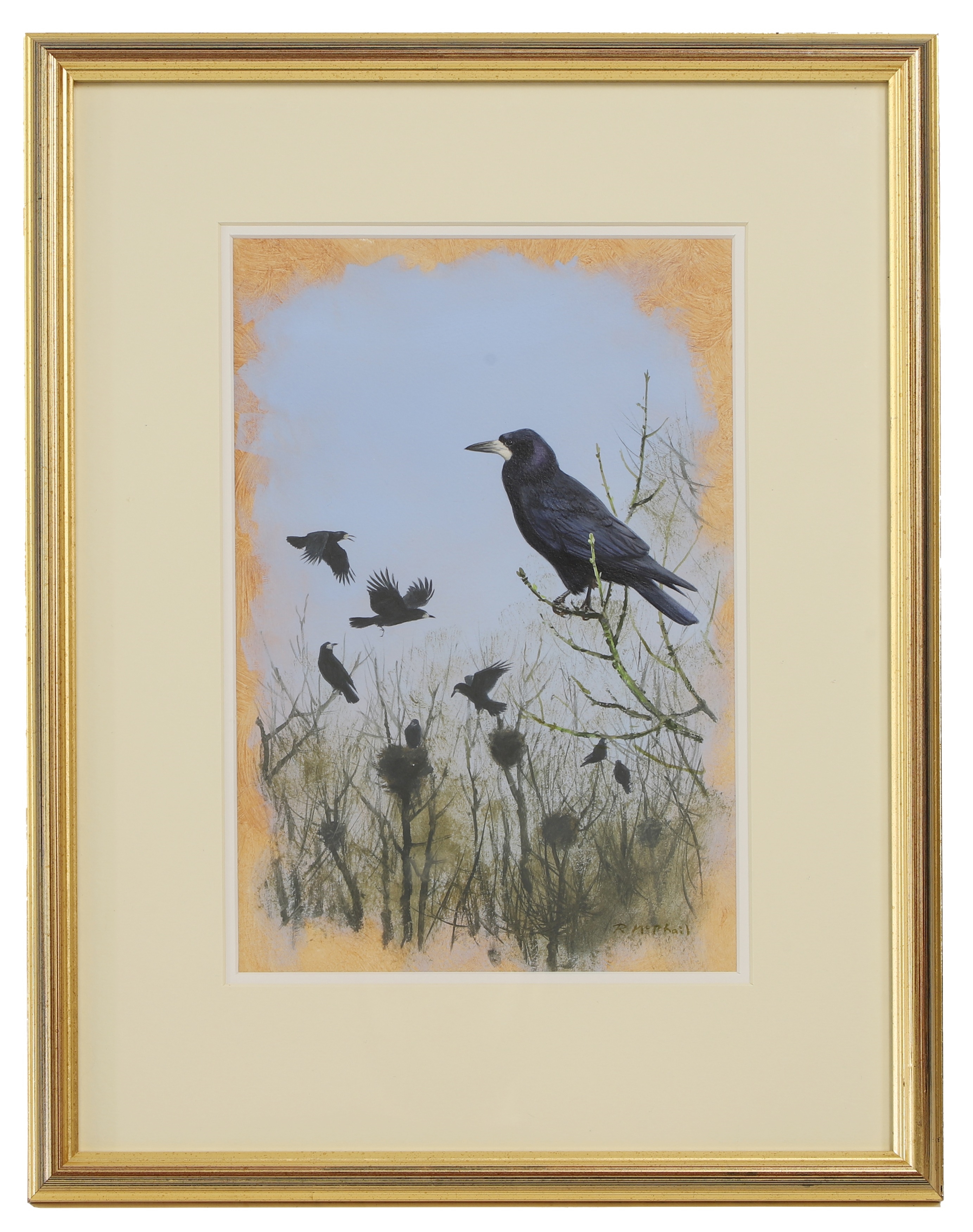 Rodger McPhail | Rooks | MutualArt