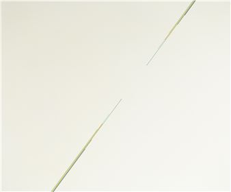 Raum und Farbe Nr. 5 - Damiano Gianoli