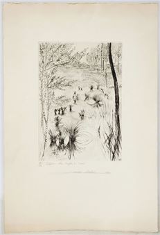 Sologne, Carex... - Lot - François Soulas