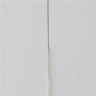Fernanda Gomes - Galeria Luisa Strina