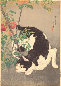 Black-and-White Cat and Tomato Plants, 1931 (Showa 6 by Takahashi Shōtei, 1931