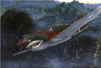 AEROPLANE - Nicoleen Meintjies