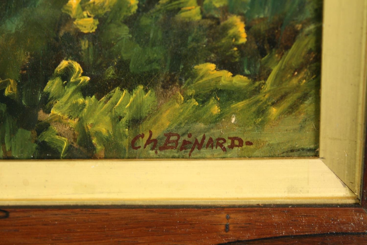 Artwork by Charles H. Binard, signed C H Binard. H.47 W.52cm., Made of oil on canvas