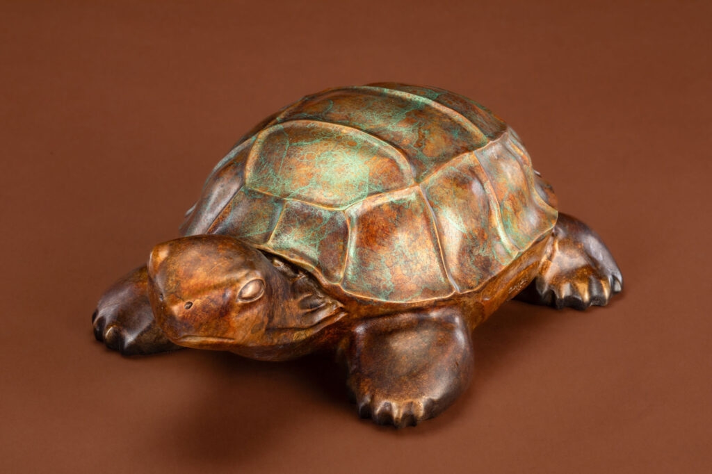 Doug Hyde | Turtle | MutualArt