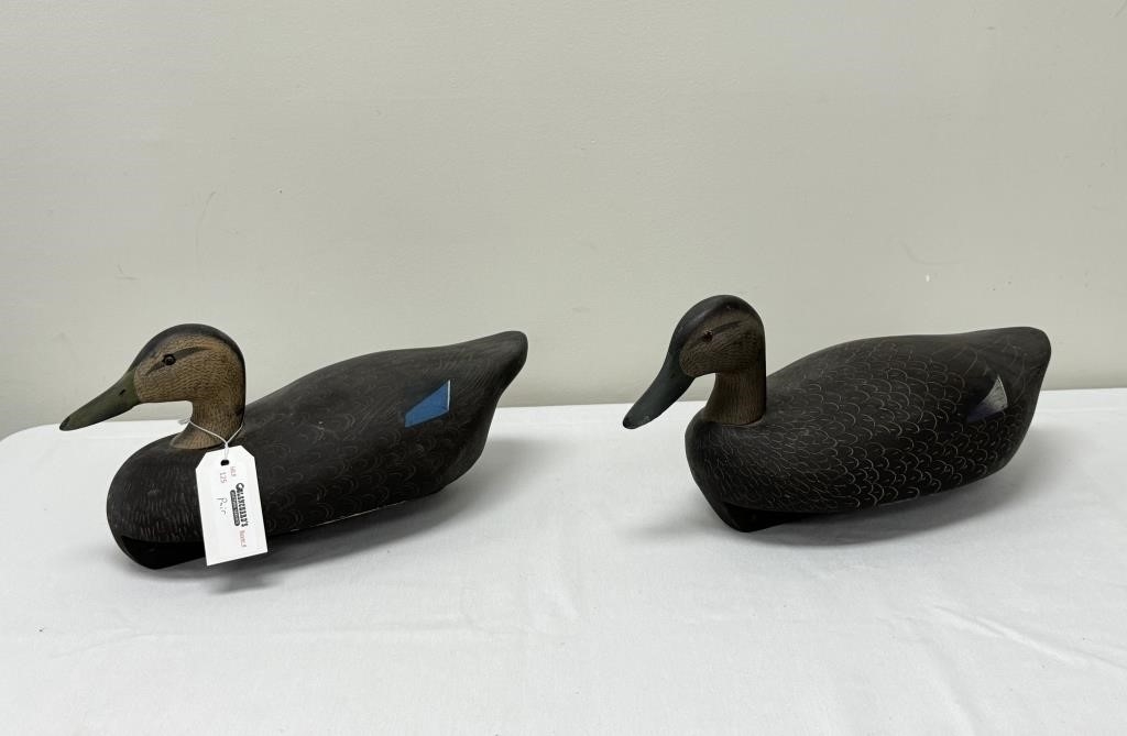 Artwork by Ken Harris, 2 Ken Harris Black Duck Working Decoys