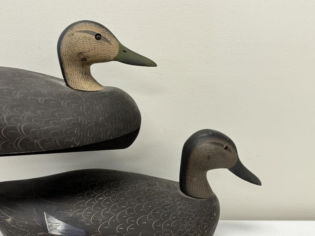 Artwork by Ken Harris, 2 Ken Harris Black Duck Working Decoys