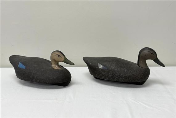 2 Ken Harris Black Duck Working Decoys