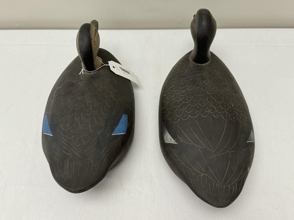 Artwork by Ken Harris, 2 Ken Harris Black Duck Working Decoys