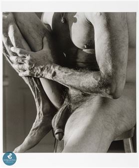 Torso di un lottatore Silver... - Lot - Piero Pompili