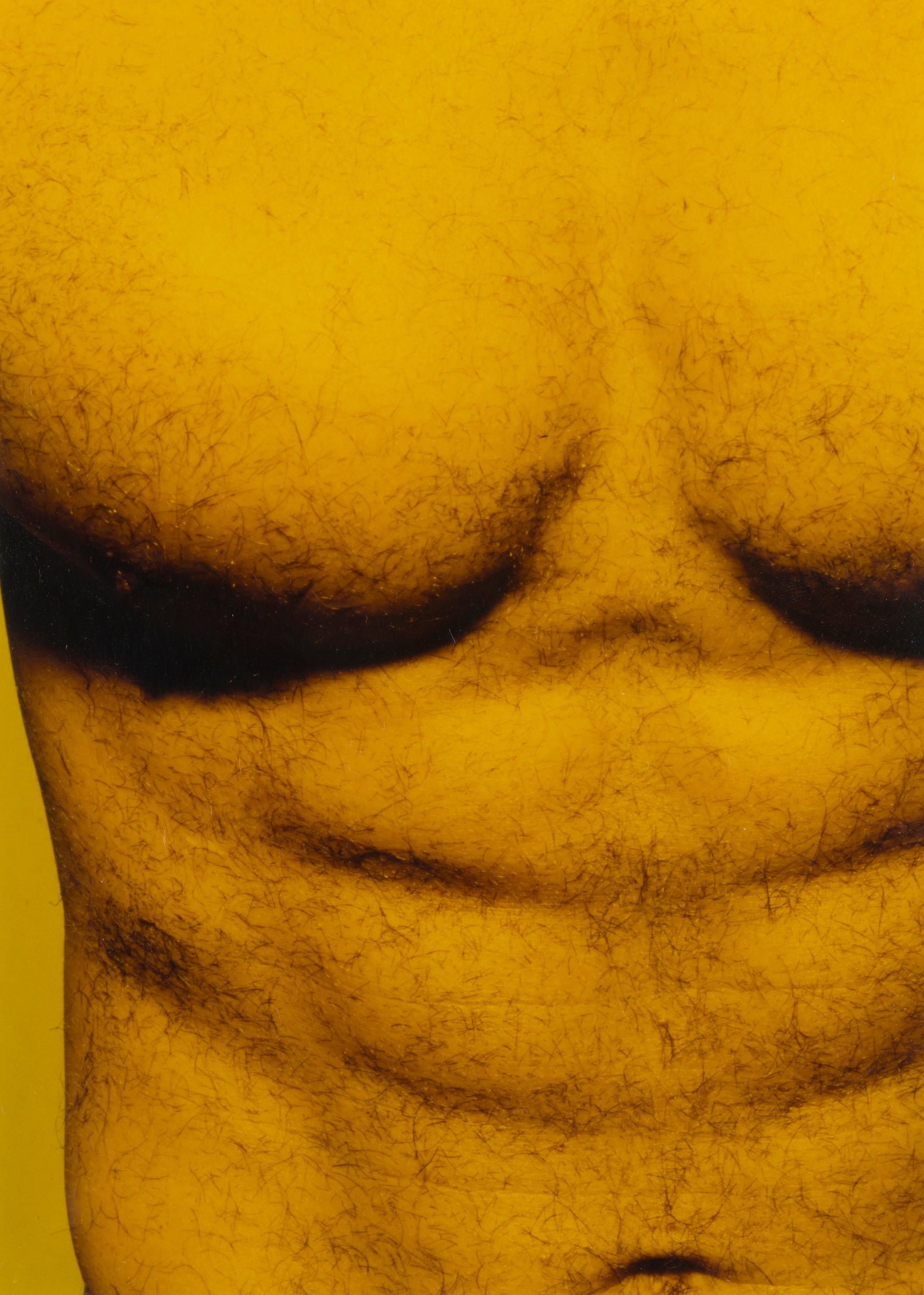 Artwork by Matthias Hermann, Sans titres (M74 + M 79), Made of cibachrome prints