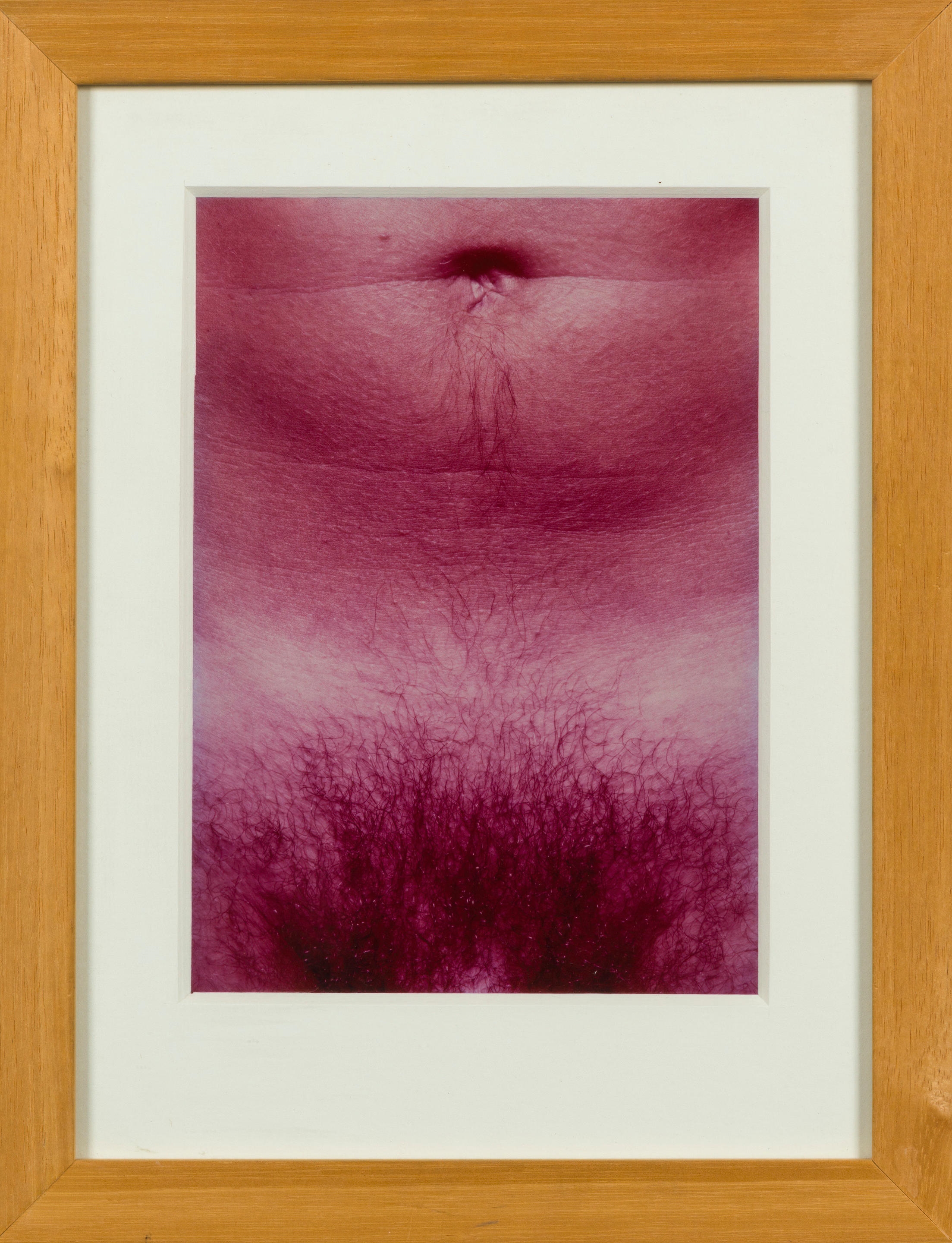 Artwork by Matthias Hermann, Sans titres (M74 + M 79), Made of cibachrome prints