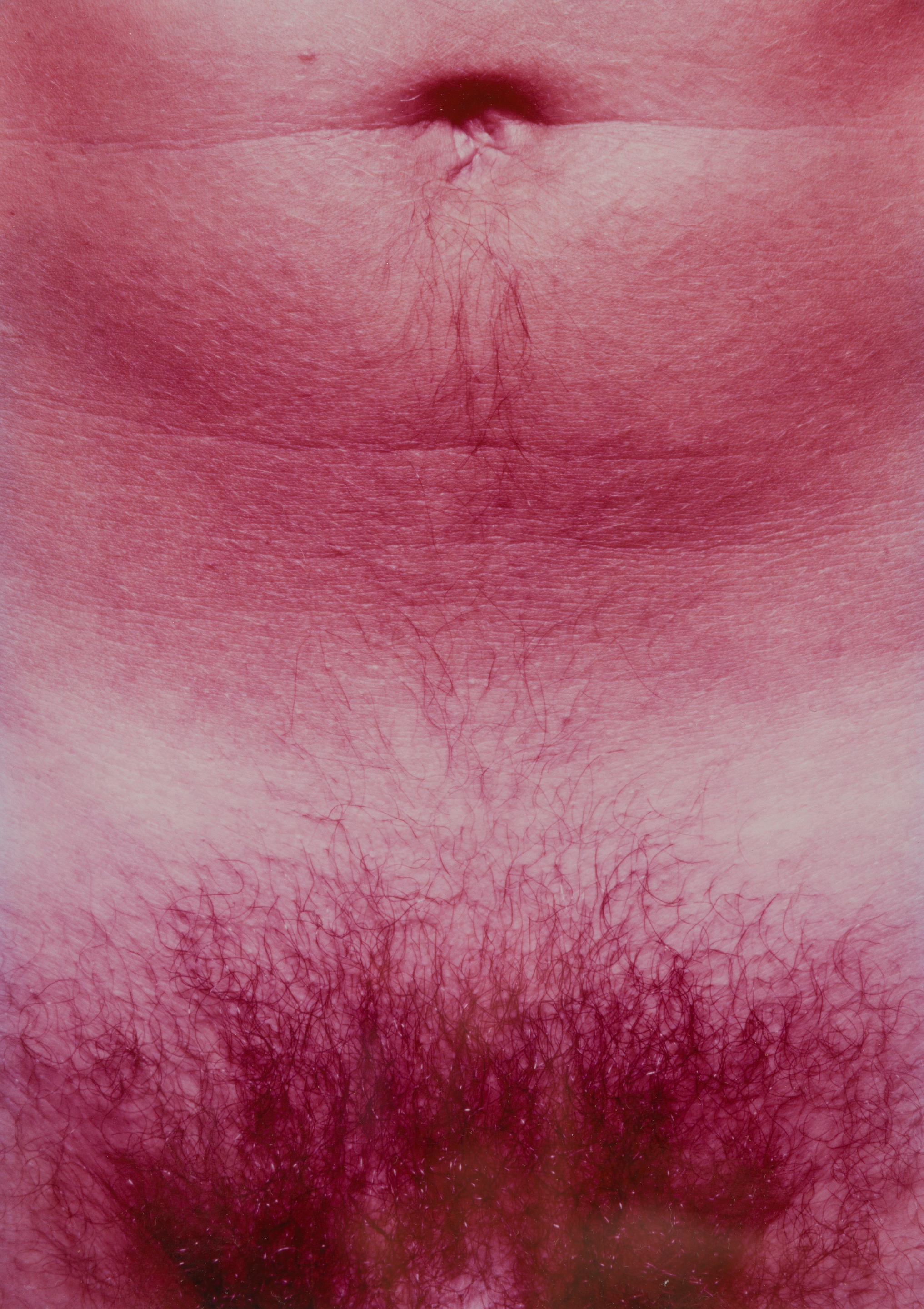 Artwork by Matthias Hermann, Sans titres (M74 + M 79), Made of cibachrome prints