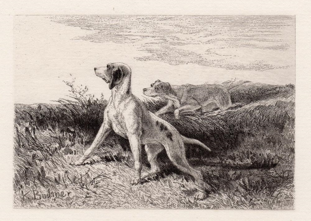 Karl Bodmer | 32 works: Travels in the Interior of North America (Circa ...