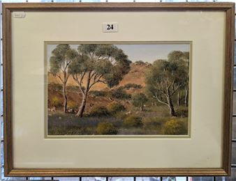 Parachilna Gorge - Anne Bates