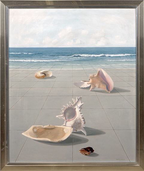 Shells on the shore by Martín Zerolo Valderrama