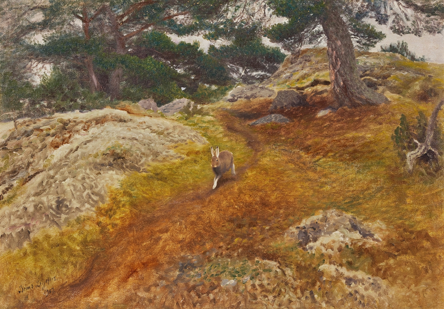 Artwork by Bruno Liljefors, Hare i skogslandskap, Made of oil on canvas