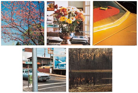 William Eggleston | The Democratic Forest | MutualArt