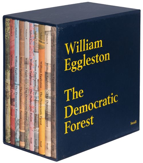 William Eggleston | The Democratic Forest | MutualArt