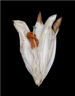 Act 04 - Galería Azur, Miami