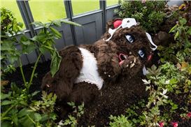 Four Must-See Exhibitions During Art Basel