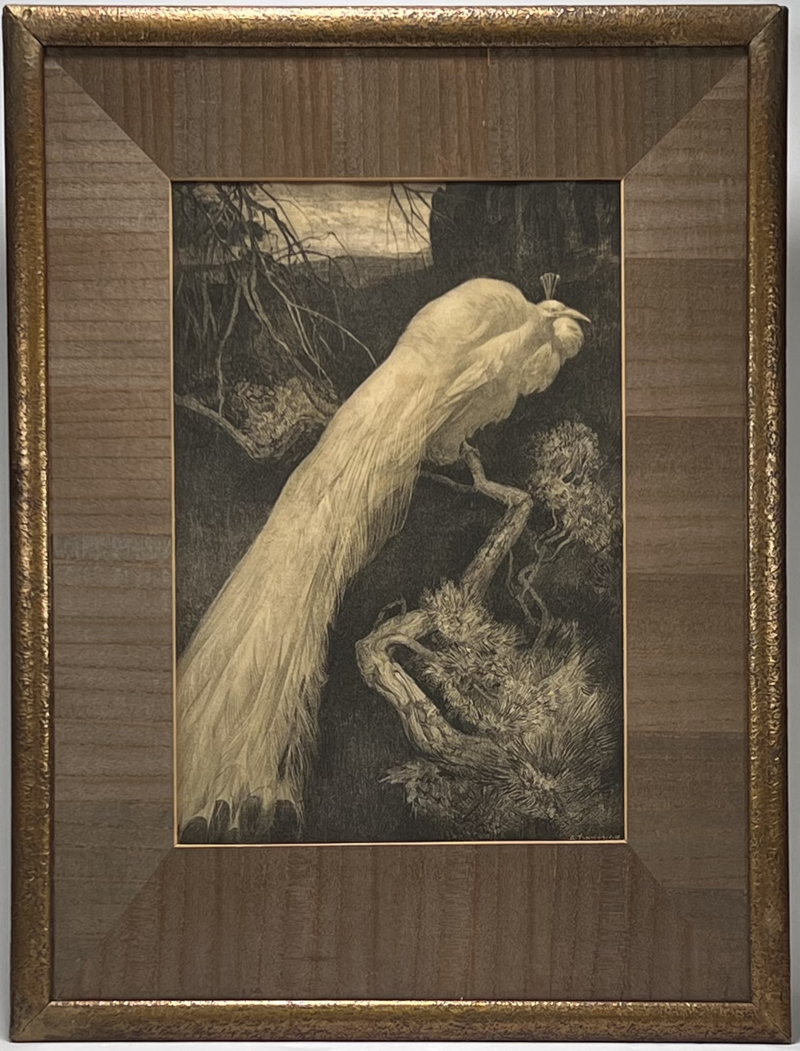 Artwork by Adriaan J. van't Hoff, Lithografie van een witte pauw op stok door Adriaan van ‘t Hoff (1893-1939). Rechtsonder gesigneerd in de druk, Made of lithograph