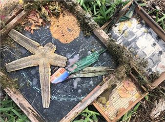 Enter Azalea: Answer The Call Of Florida’s Forgotten Mystical Spaces - Dunedin Fine Art Center