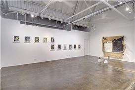 On the Fortitude of Flowers: A Review of “Fleurs De Macadam” at Chicago Artists Coalition