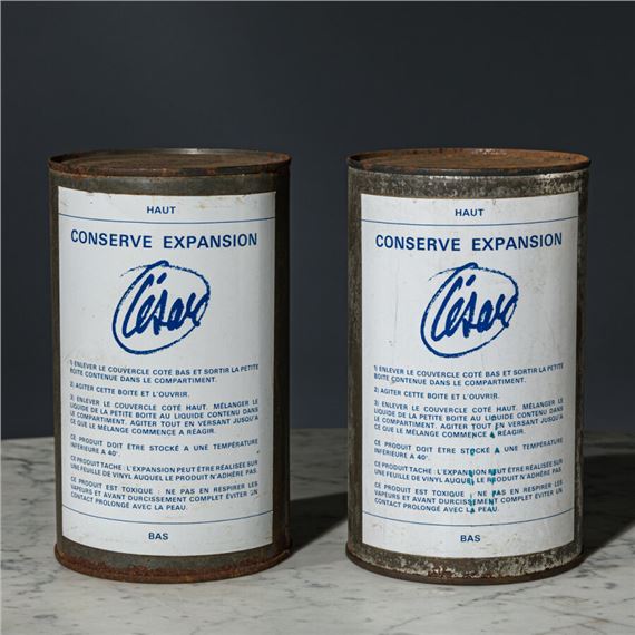 CÉSAR (1921-1998) - MARTIAL RAYSSE (1936-) Conserve - Expansion