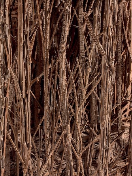 Artwork by Eva Jospin, Forest Collage of corrugated, Made of Collage of corrugated cardboard mounted on a wooden frame