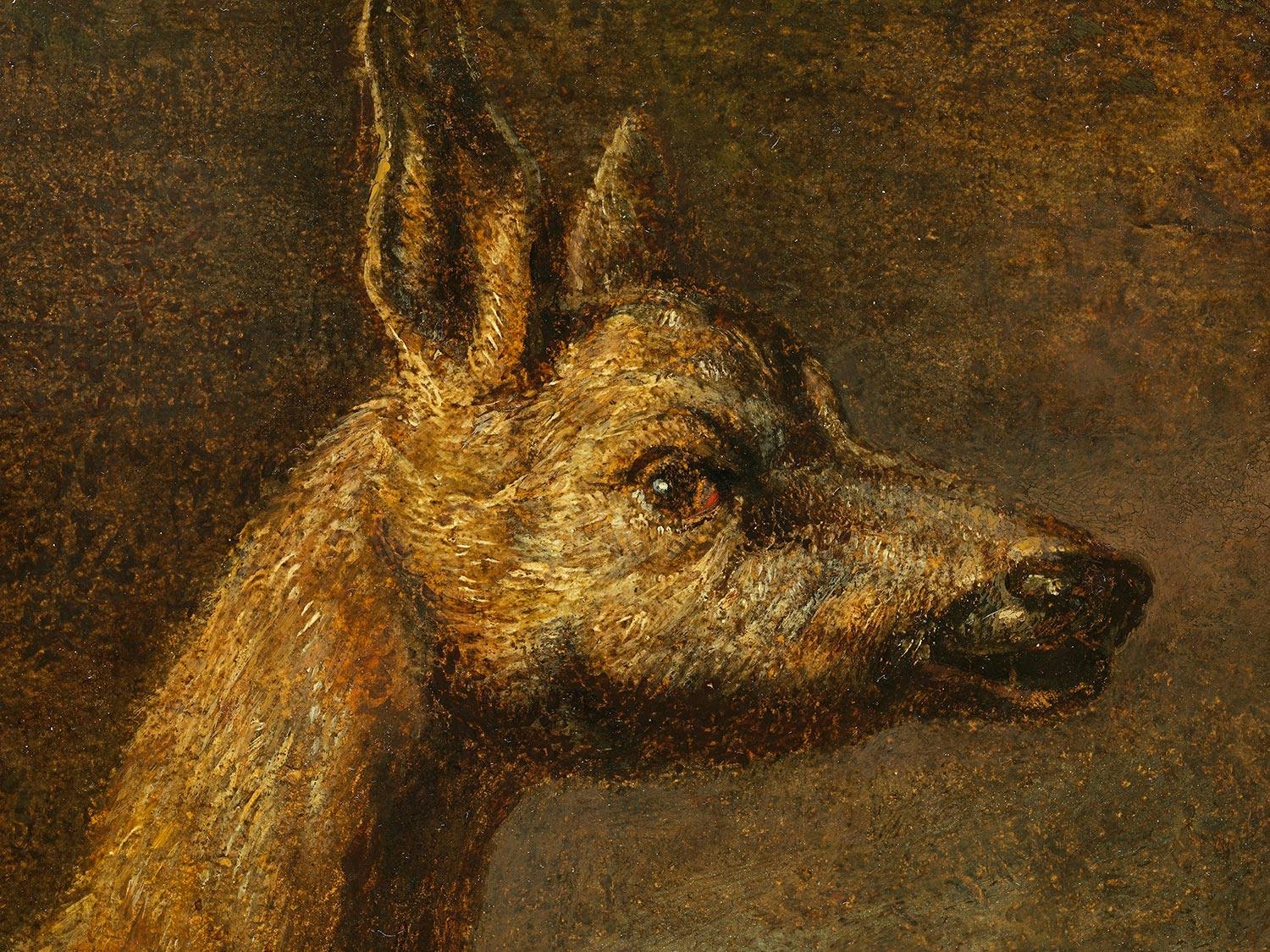 Artwork by Bernard Nicasius, WALDLANDSCHAFT MIT ZWEI REHEN, Made of Öl auf Leinwand