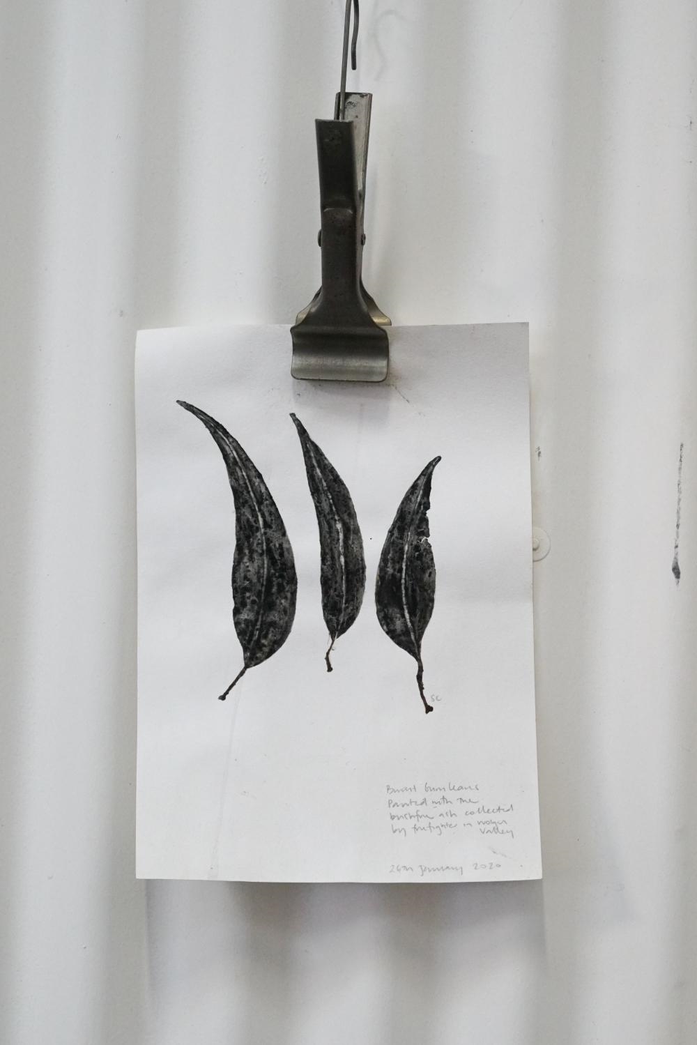 Artwork by Sibella Court, Burnt gum leaves painted with bushfire ash collected by a firefighter, by Sibella Court, unframed 30 x 21cm