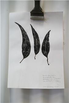 Burnt gum leaves painted with bushfire ash collected by a firefighter, by Sibella Court, unframed 30 x 21cm - Sibella Court