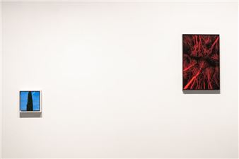 Come In Un Giardino - Francesca Antonini Arte Contemporanea