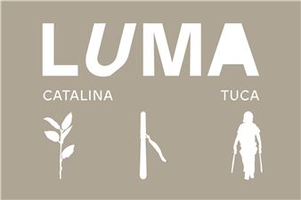 Catalina Tuca: Luma - CUE Art Foundation